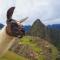 The Only Peru Guide